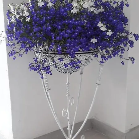 Nocleg ze śniadaniem 2 Erre