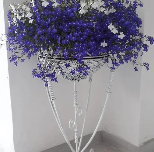 Frühstückspension 2 Erre