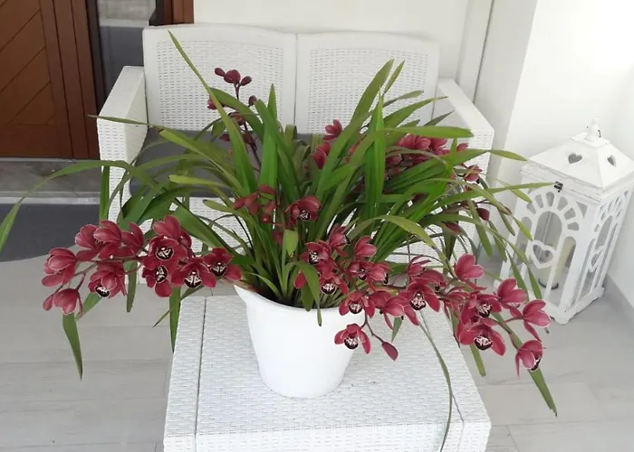 Frühstückspension 2 Erre