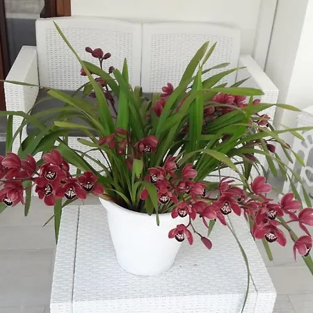 Bed & Breakfast 2 Erre