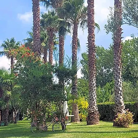 Oda ve Kahvaltı 2 Erre Paestum
